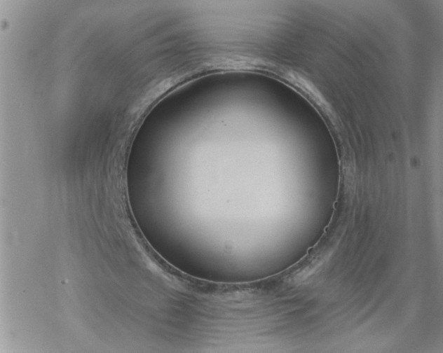 X0000069380433200605192153