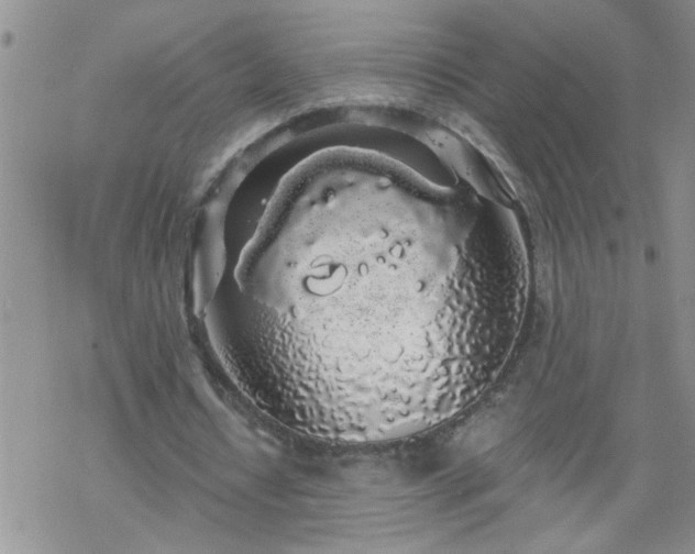 X0000069380434200605192153