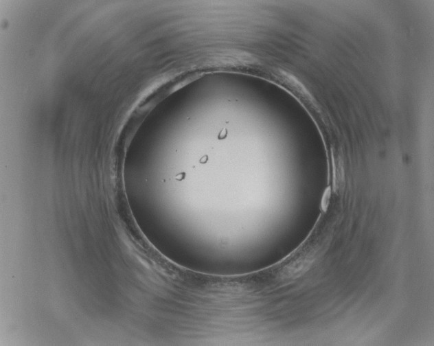 X0000069380435200605192153