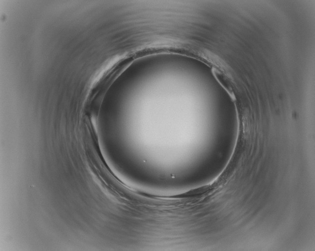 X0000069380436200605192153