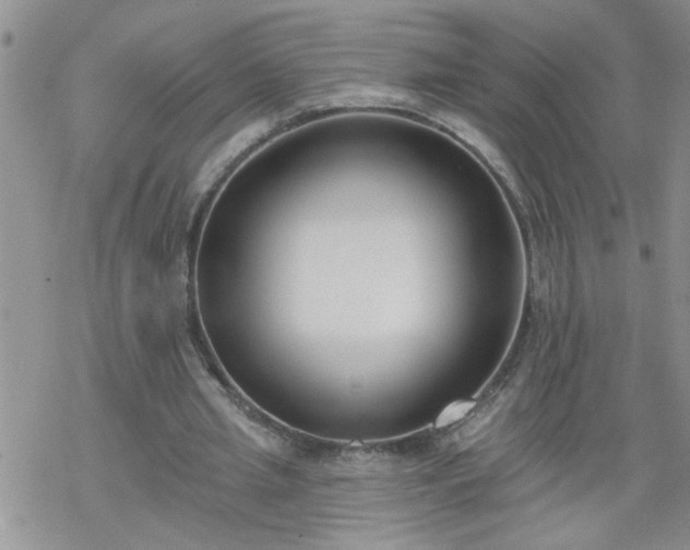 X0000069380437200605192153