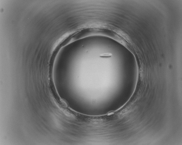 X0000069380438200605192153