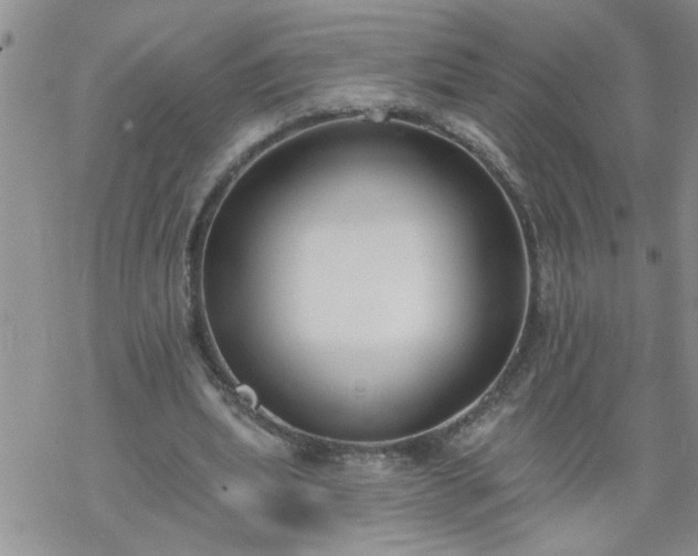 X0000069380439200605192153