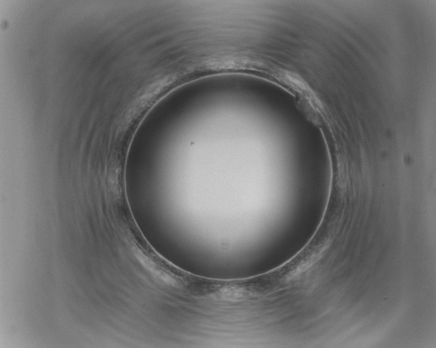 X0000069380441200605192153