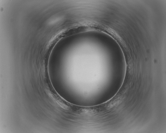 X0000069380442200605192153