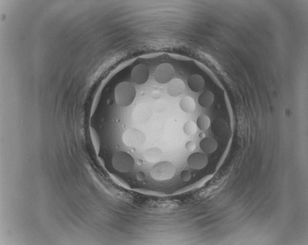 X0000069380443200605192153