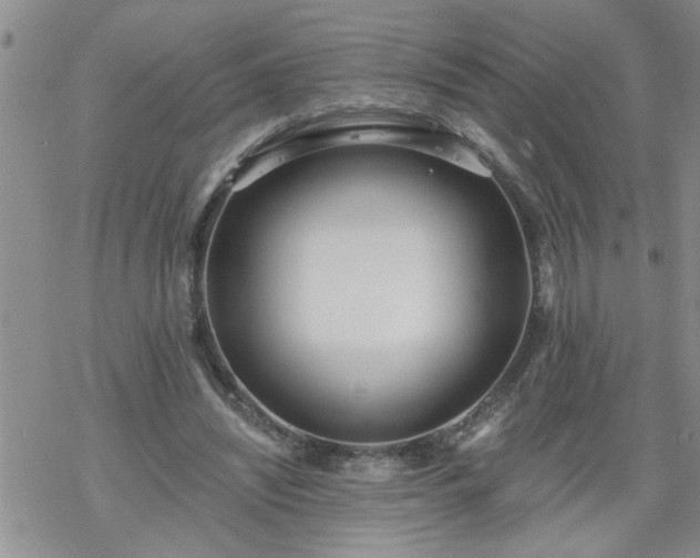 X0000069380444200605192153