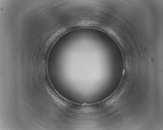 X0000069380445200605192153