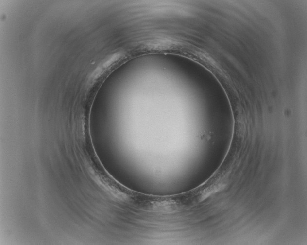 X0000069380446200605192153