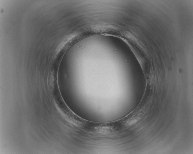 X0000069380448200605192153