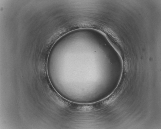 X0000069380449200605192153