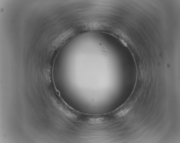 X0000069380450200605192153