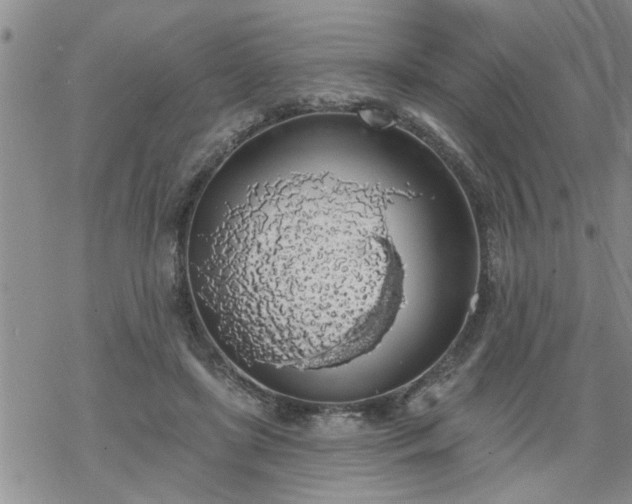 X0000069380451200605192153