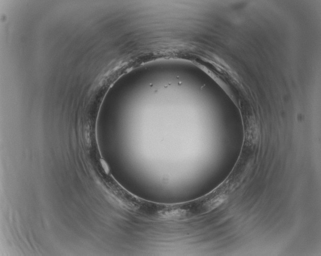 X0000069380452200605192153