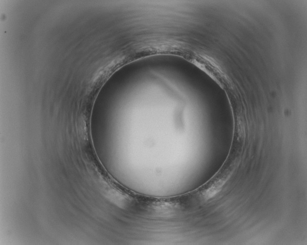 X0000069380453200605192153