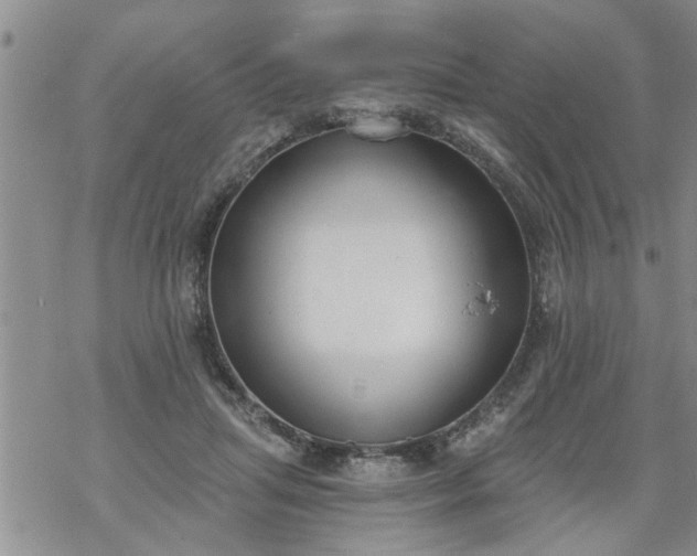 X0000069380455200605192153