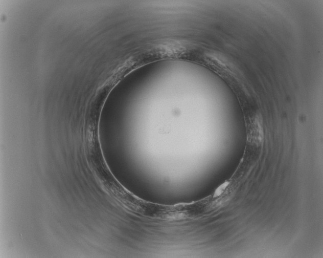 X0000069380456200605192153