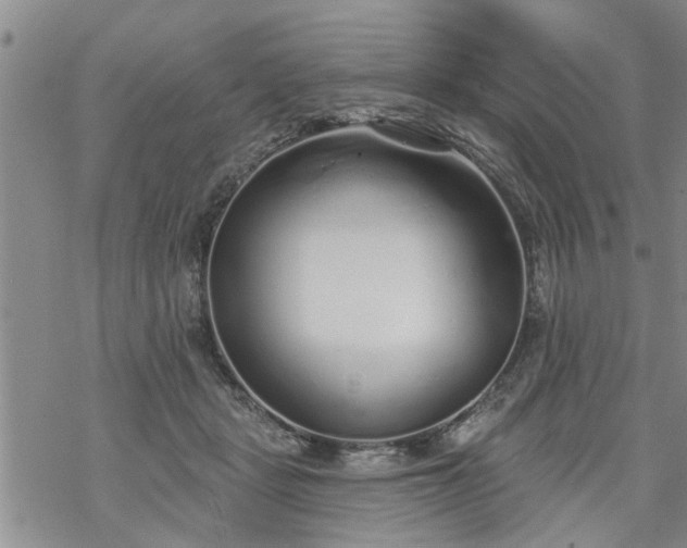 X0000069380461200605192153