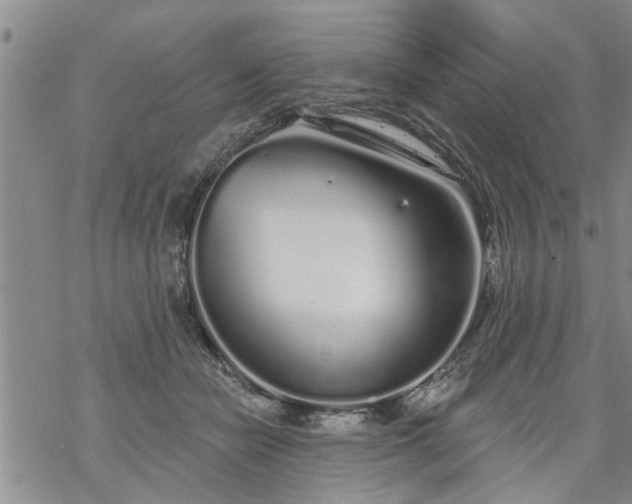 X0000069380462200605192153