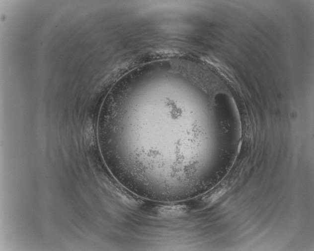 X0000069380465200605192153