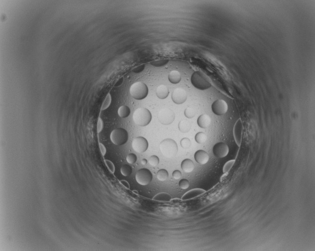 X0000069380466200605192153