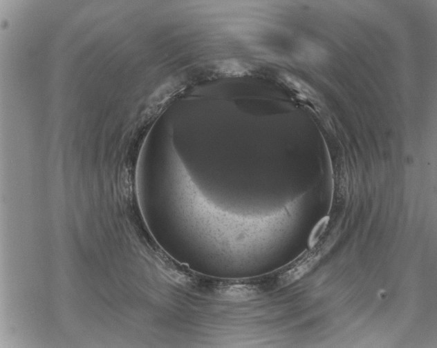 X0000069380467200605192153