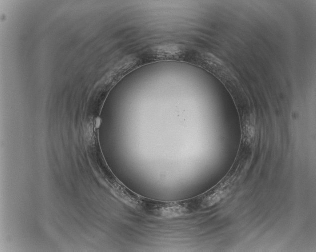 X0000069380468200605192153