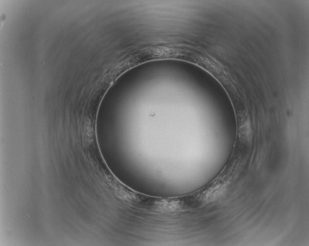 X0000069380469200605192153