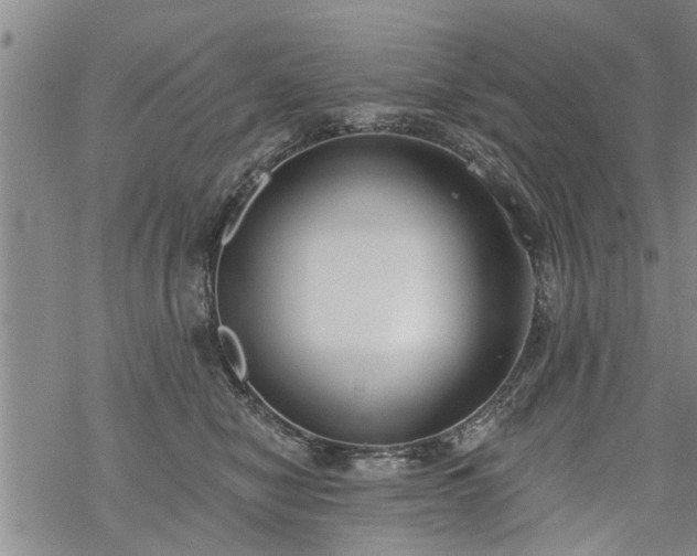 X0000069380470200605192153