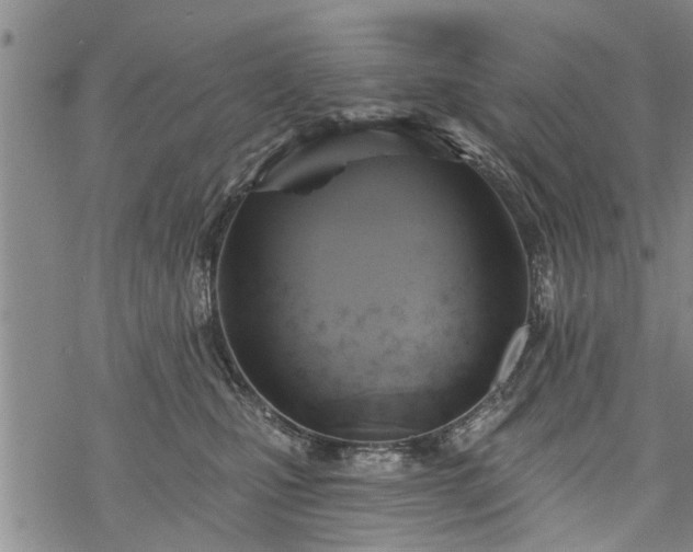 X0000069380471200605192153