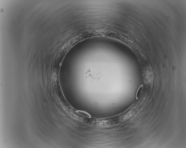 X0000069380472200605192153