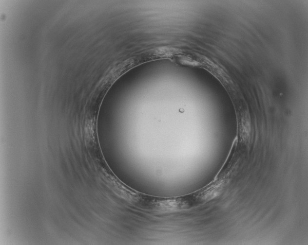 X0000069380473200605192153