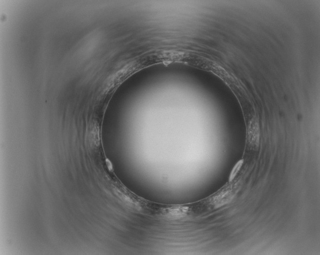 X0000069380474200605192153