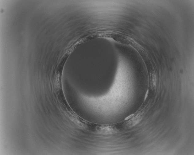 X0000069380475200605192153