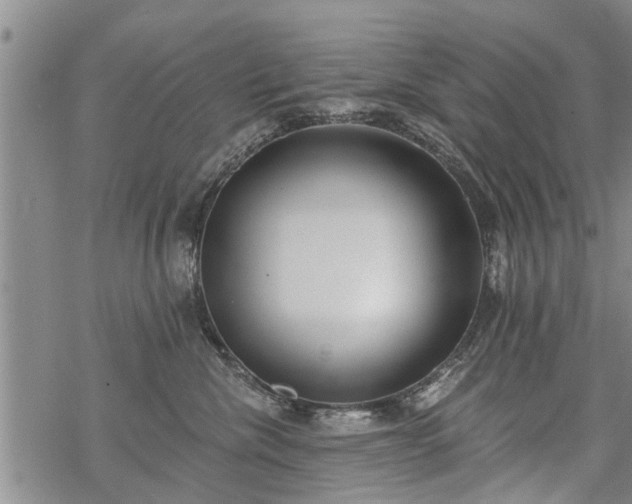 X0000069380476200605192153