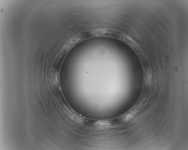 X0000069380477200605192153