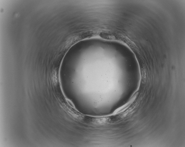 X0000069380479200605192153