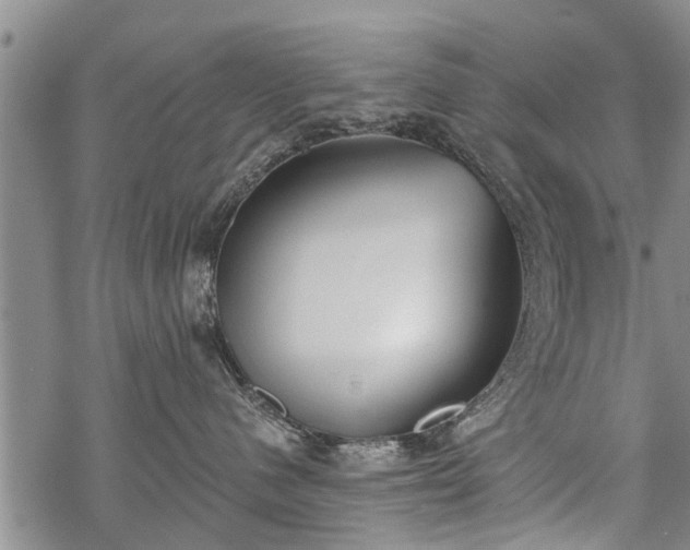 X0000069380480200605192153