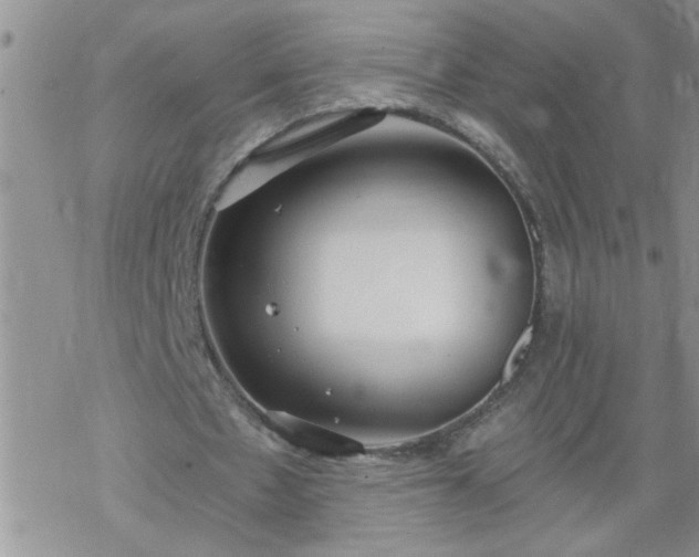 X0000069380481200605192153