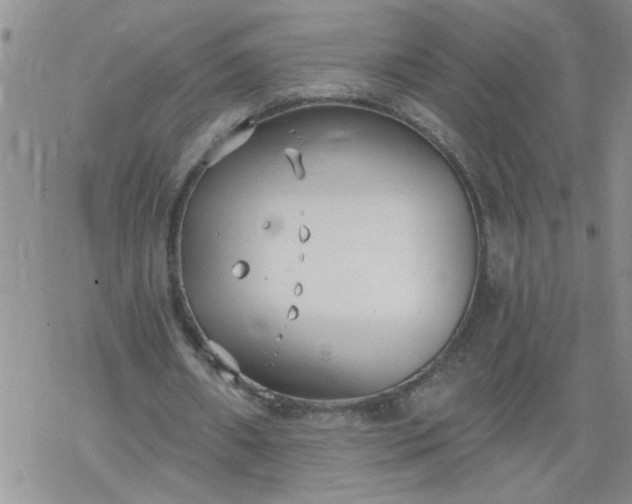 X0000069380482200605192153