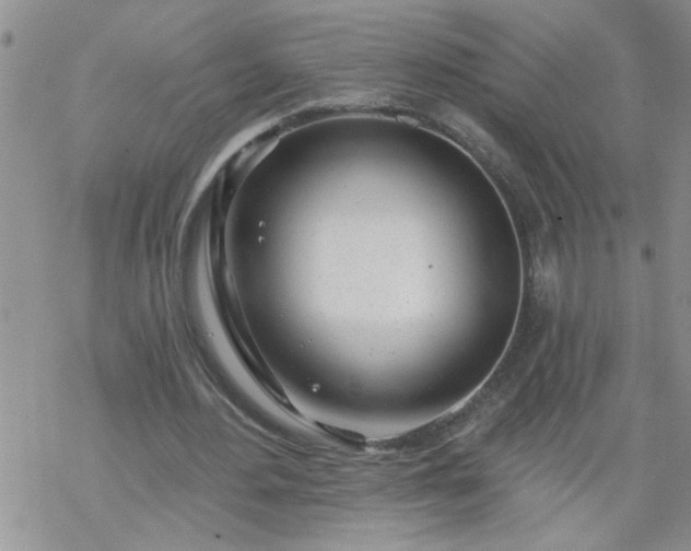 X0000069380484200605192153