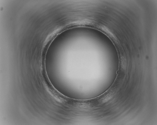 X0000069380486200605192153