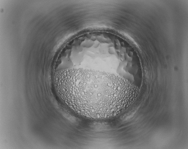 X0000069380487200605192152