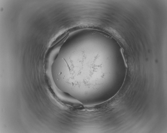 X0000069380488200605192152