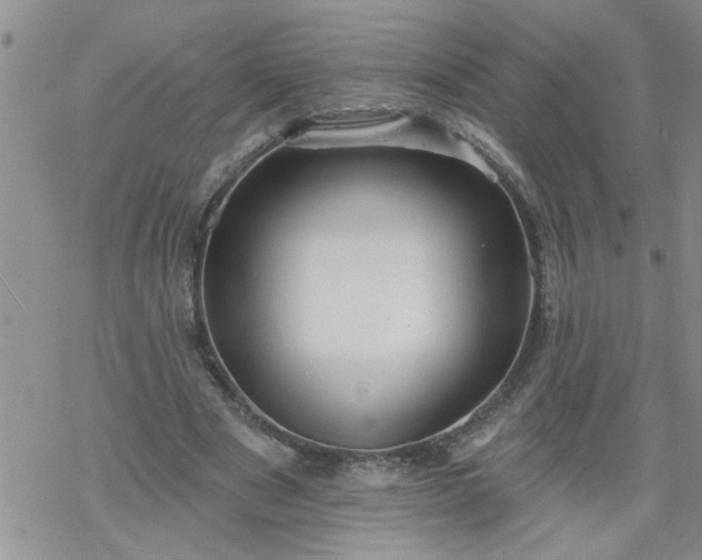 X0000069380489200605192152