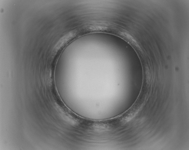 X0000069380490200605192152