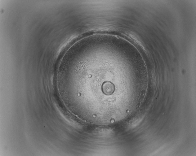 X0000069380491200605192152