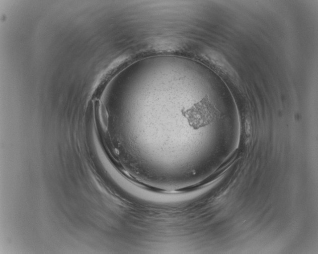 X0000069380492200605192152