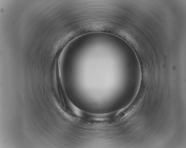 X0000069380493200605192152