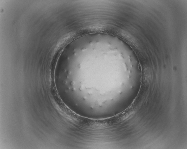 X0000069380494200605192152